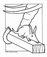 Aardvark Ark Animals Appeared Restless Seemed Lord sketch template