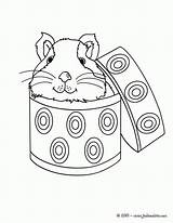 Guinea Pig Hamster Cavia Kleurplaat Meerschweinchen Cobaya Kooi Ausmalbilder Cochon Inde Coloriage Tekenen Konijn Hellokids Jaula Imprimir Jungen Coloriages Downloaden sketch template