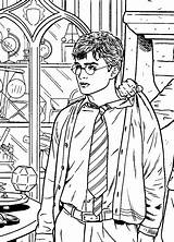 Potter Harry Coloring Pages Phoenix Coloriage Kids Printable Order Print Colouring Imprimer Colorare Da Movies Book Hogwarts Coloriages Ron Di sketch template
