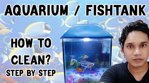 clean  aquarium fish tank complete step  step guide