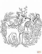 Fawn Coloring Pages Drawing Printable Getdrawings Categories sketch template