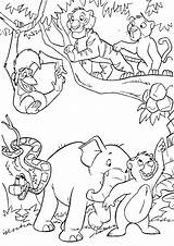 Jungle Coloring Pages Scene Getcolorings Printable Color sketch template