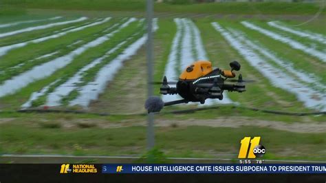 professor creates drone    bees    crops abc houston