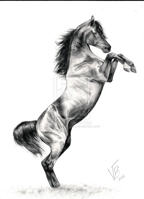 majestic arabian horse artwork  deviantart