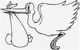 Storch Malvorlage Bewundernswert Ausmalbilder Malvorlagen Ausschneiden sketch template