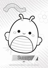 Squishmallow Squishmallows Named Wonder Bugs Squad Asd10 sketch template