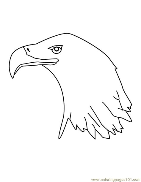 coloring pages eagle head birds eagle  printable coloring