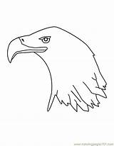 Eagle Head Coloring Printable Color Pages Birds sketch template