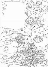Regenbogenfisch Vis Mooiste Ausmalbilder Zee Arco Colorat Inktvis Arcobaleno Ciel Arc Coloriages Peixe Colorir Pez Arcoiris Colorare Fisch Planse Animale sketch template