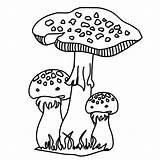 Fungi Pilze Fensterbilder Bilder sketch template