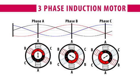 diagram wiring diagram   phase induction motor mydiagramonline