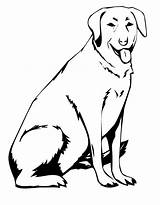 Coloring Labrador Lab Dog Pages Printable Chocolate Dogs Yellow Sitting Print Drawing Line Retriever Service Labs Color Clipart Colouring Cute sketch template