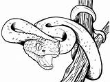 Viper Coloring Pages Snake Drawing Eyelash Color Getdrawings Printable Getcolorings Print sketch template
