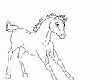 Spirit Coloring Pages Stallion Cimarron Riding Drawing Horse Foal Rain Printable Sheets Getdrawings Colorings Fancy Lineart Library Clipart Bambi Popular sketch template