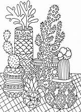 Scenery Adults Colorir Suculentas Succulents Kaktus Ausmalbilder sketch template
