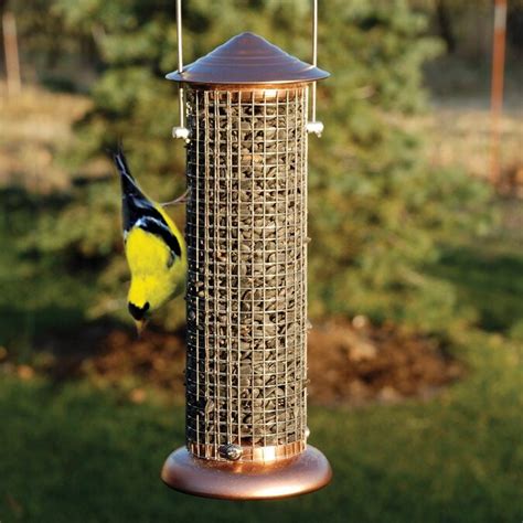 woodlink metal tube bird feeder in the bird feeders department at