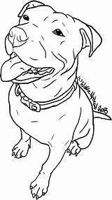 Pitbull Coloring Pages Dog Line Drawing Bull Outline Pit Clipart Stencil Realistic Dogs Staffy Carving Getcolorings Staffordshire Stencils Drawings Pitbulls sketch template
