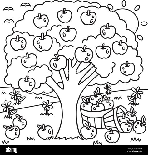 apple tree coloring page  kids stock vector image art alamy