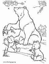 Bear Coloring Cubs Fruits Mother Bears Eating Colouring Pages Mama Family Wild Color Kids sketch template