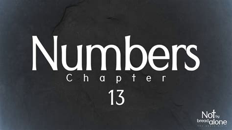 numbers chapter  youtube