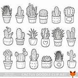 Plant Kaktus Tegning Zeichnen Suculentas Sukkulenten Pflanze Tegninger Sammelalbum Familie Pequenos Plante Strichzeichnung Pflanzenzeichnung Drawings Succulents Ausmalbilder Kawaii Pflanzen Sukkulente sketch template