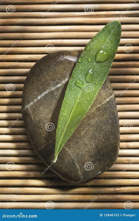 spa stone stock image image  leafy stone olive asian