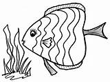 Ikan Putih Kolase Mewarnai sketch template
