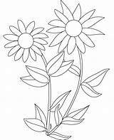Sunflower Sonnenblume Sunflowers Ausmalbilder Printable Library Coloringtop Preschooler Malvorlagen sketch template