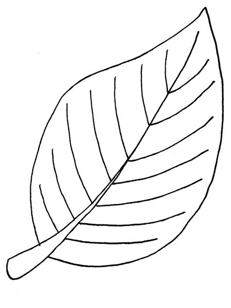 tree leaf colouring pages