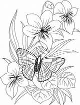 Ausmalbilder Schmetterlinge sketch template