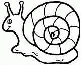 Snail Cartoon Clipart Library Outline sketch template