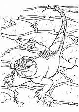 Gecko Lizard Coloring Books Pages Q2 Coloringpages sketch template