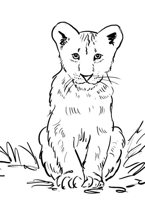lion cub coloring page art starts