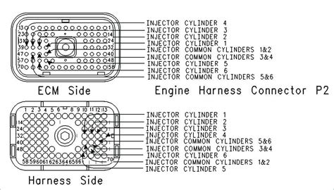 cat   pin ecm wiring diagram