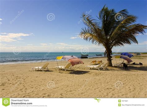Beach On Island Margarita Stock Image Image Of Pacific