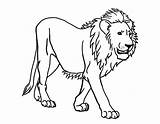 Lion Coloring Pages Cub Animals Preschool Printable Colouring Kids Getcolorings Other Color Pa Animal Choose Board sketch template