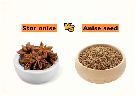 appearance flavor    star anise  anise seed  agriculture