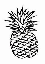 Pineapple Coloring Outline Smooth Hawaiian Drawing Delicious Cartoon Cayenne Color Adult Book Cliparts Fruit Characters Pages Clipart Sheet Print Clipartmag sketch template
