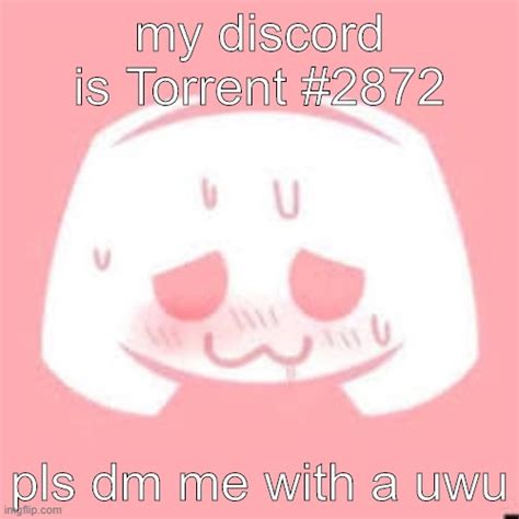 Uwu On Discord Imgflip