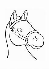 Kopf Pferde Ausmalbild Pferd Vorlage Ausdrucken Malvorlagen sketch template
