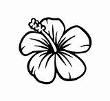 Hibiscus Drawing Flower Easy Coloring Pages Choose Board Flowers Hawaiian sketch template
