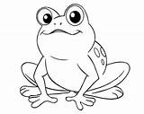 Katak Mewarnai Untuk Paud Putih Hitam Hewan Kodok Sketsa Frog Binatang Colouring Gampang Aneka Ayo Cimahi Kepada Jiwa Seni Meningkatkan sketch template