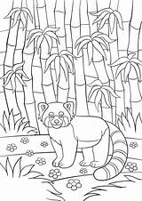 Panda Mignon Kleurplaten Schattige Coloration Forêt Stockillustratie Endangered sketch template