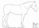Horse Coloring Pages Quarter Friesian Head Drawing Line Printable Color Drawings Getcolorings Lines Getdrawings Print Popular Colori sketch template