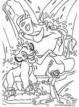 Coloring Simba Waterfall Timon Pumbaa Taking Bath Colouring Lion King sketch template