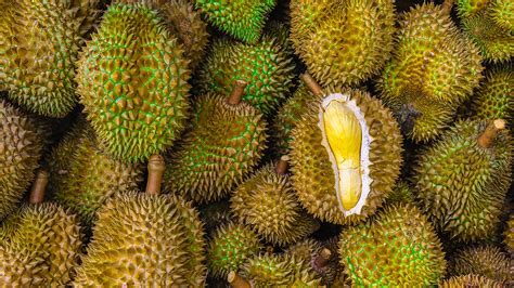 davao region exports  batch  durian  china