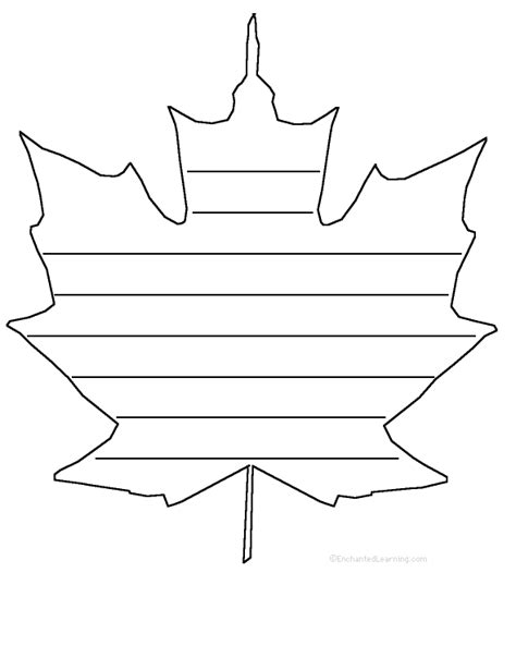maple leaf template clipart