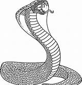 Snake Coloring Pages Printable Kids Animal sketch template