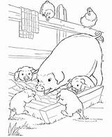Coloring Pages Visit Animal sketch template