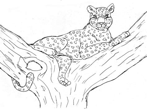 cheetah printable coloring pages